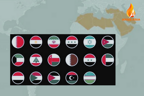 Support: Middle East and North Africa Region