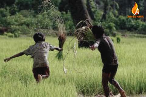Partner with Cambodia