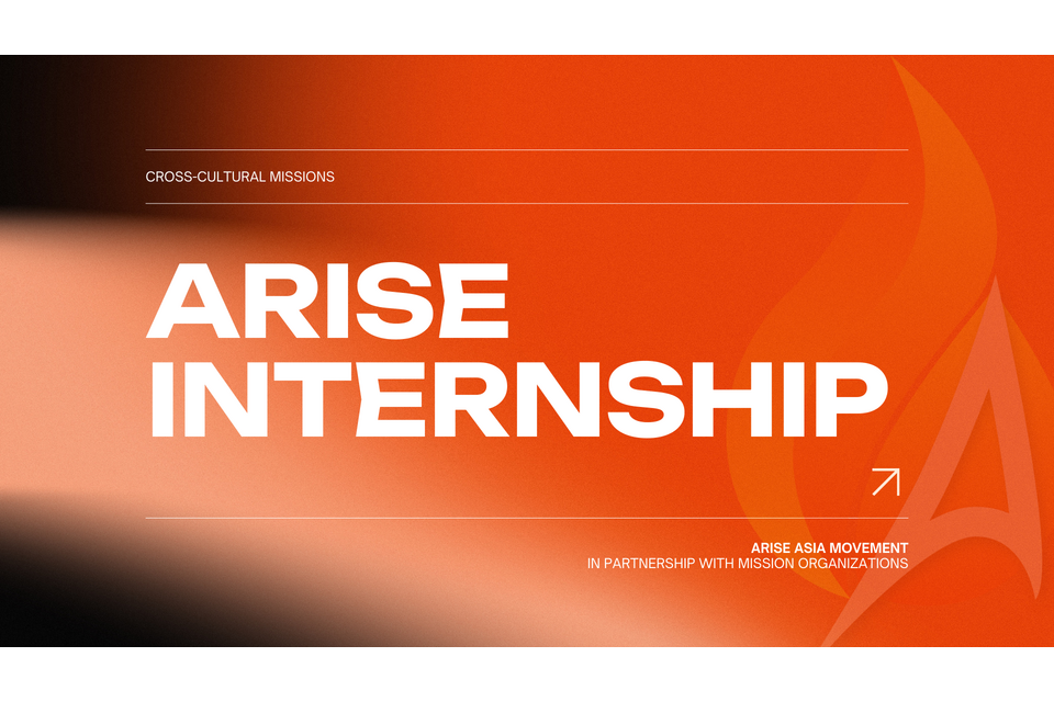 Arise Internship