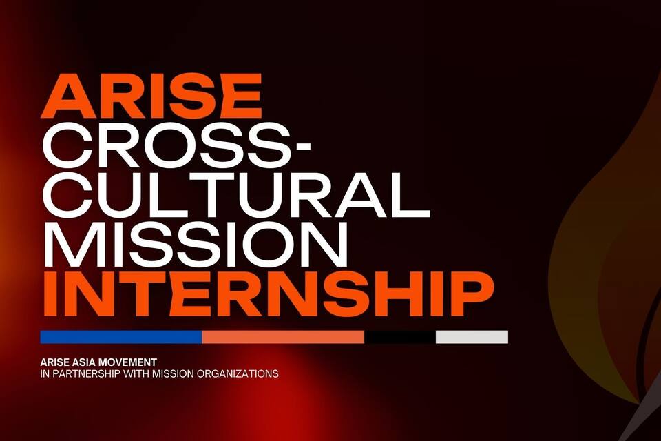 Arise Internship